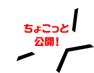 ちょこっと公開！